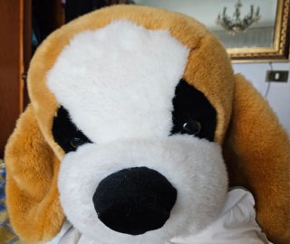 Peluche perro San Bernardo