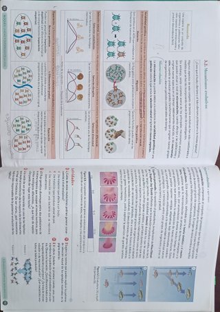 Biología, Geología y CC. Ambientales 1º Bachill...