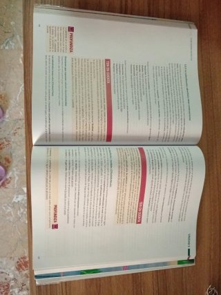 Lengua Castellana y Literatura, 2 Bach, Proyect...