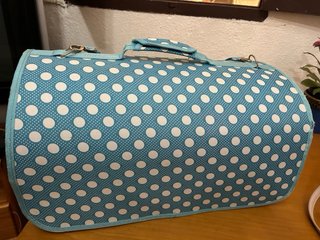 Transportín para mascota de tamaño pequeño