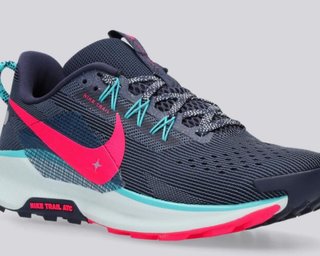 Nike Pegasus Trail 5 Azul/Rosa