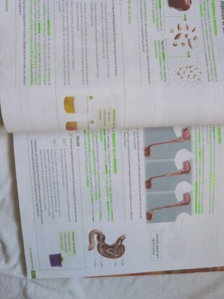 Biología y Geología, 3 Secundaria, Andalucía Re...