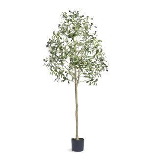 Ulivo Artificiale Realistico 155 cm con Vaso in PE