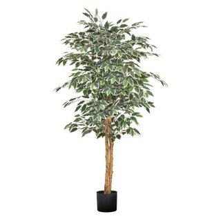 Albero Ficus Artificiale 150 cm con Vaso Nero