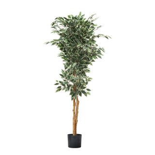 Albero Ficus Artificiale 150 cm con Vaso Nero
