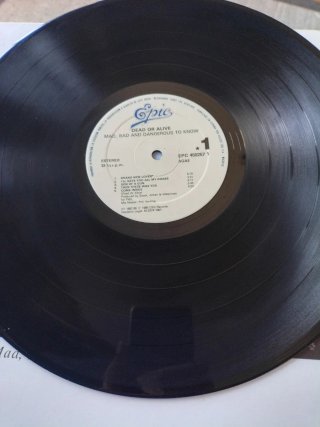 LP Dead Or Alive - Mad, Bad, and Dangerous To Know