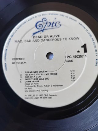LP Dead Or Alive - Mad, Bad, and Dangerous To Know