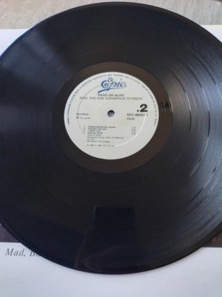 LP Dead Or Alive - Mad, Bad, and Dangerous To Know