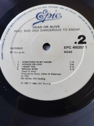 LP Dead Or Alive - Mad, Bad, and Dangerous To Know