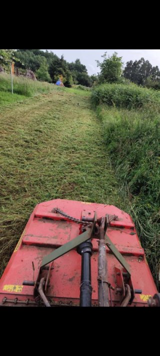 Conjunto Remolque y desbrozadora para tractor