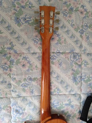Harley Benton SC-450 Plus - Guitarra Eléctrica