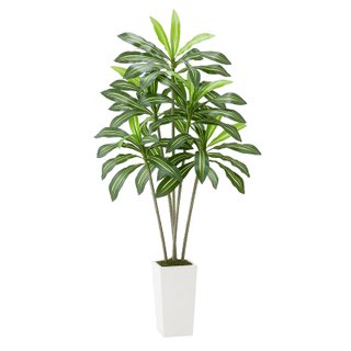 Dracena Finta da Pavimento con Vaso Alto Bianco