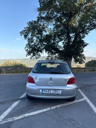 Peugeot 307 2002