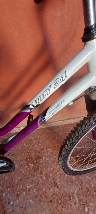 Bicicleta Cadete Morada