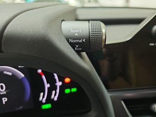 Lexus UX 2.0 300h UX Plus