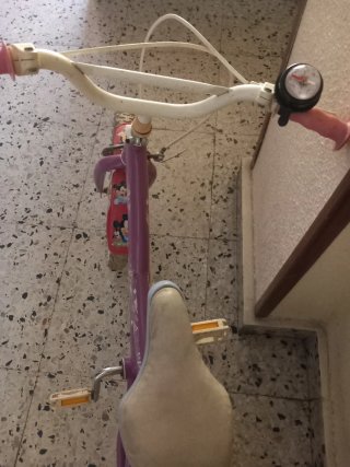 Bicicleta infantil morada