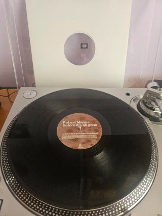 Robert Manos - Before It's All Gone (Truesoul)