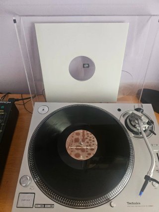 Robert Manos - Before It's All Gone (Truesoul)