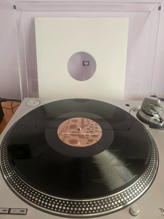 Robert Manos - Before It's All Gone (Truesoul)