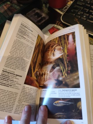 El libro de TODO EL ACUARIO