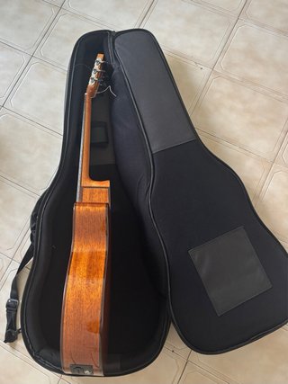 Guitarra Cordoba Fusion 5 + estuche