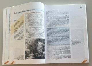 Historia de la Filosofía (Navarro Cordón).