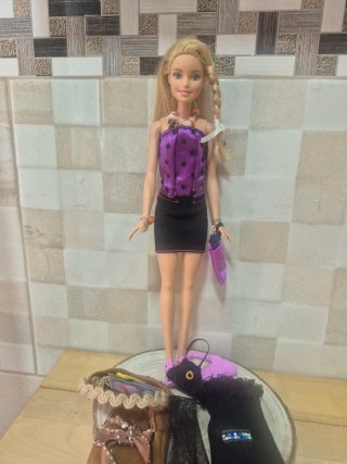Barbie con prendas y accesorios
