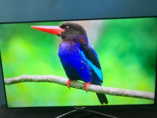 Samsung Smart TV de 50 pulgadas
