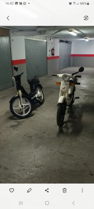 Lote 2 vespino