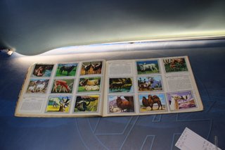 Álbum de cromos Vida y Color. Álbumes Españoles, 1970.