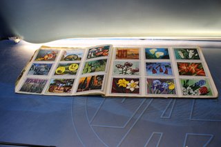 Álbum de cromos Vida y Color. Álbumes Españoles, 1970.