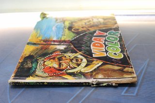 Álbum de cromos Vida y Color. Álbumes Españoles, 1970.