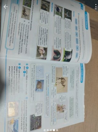 Libro  de Natural Science. 3 primaria.