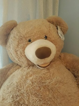 Peluche Oso Gigante Marrón