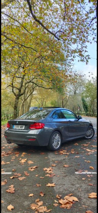 BMW Serie 2 2017