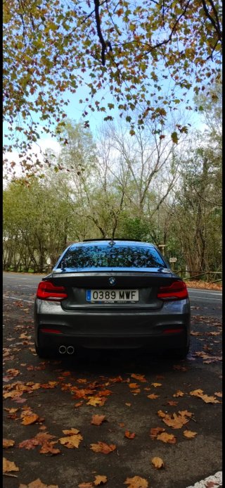 BMW Serie 2 2017