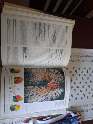 Enciclopedia de medicina y enfermería Mosby