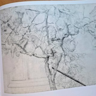 Antonio López Catálogo Pintura Dibujo Escultura