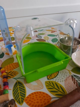Set accessori per uccelli