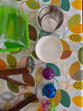 Set accessori per uccelli