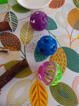 Set accessori per uccelli