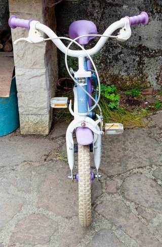 Bici Frozen 14 pollici