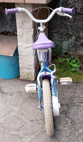 Bici Frozen 14 pollici