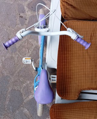 Bici Frozen 14 pollici