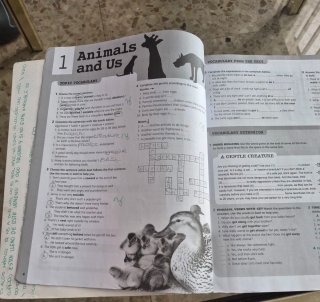 Burlington Internat.English B1 Wb 2nd Edition