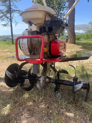 Motoazada Yanmar Tess