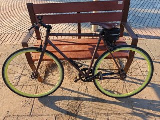 Bicicleta Vintage B-PRO