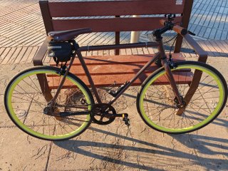 Bicicleta Vintage B-PRO
