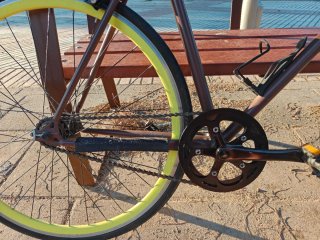 Bicicleta Vintage B-PRO