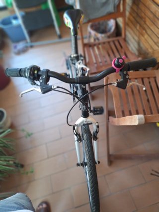 Bicicleta infantil 24 Twin